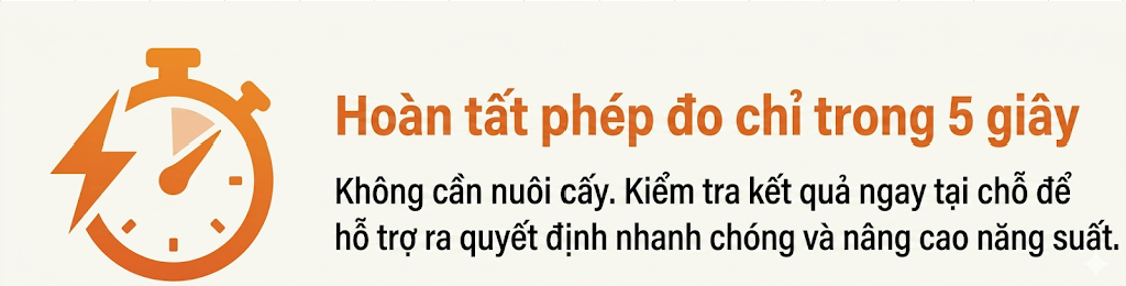 trong5giay