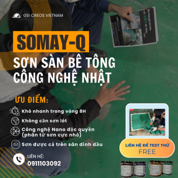 SƠN SOMAY-Q